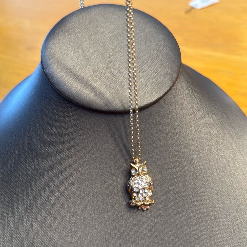 Talbots owl necklace. The chain does not have circle closure.